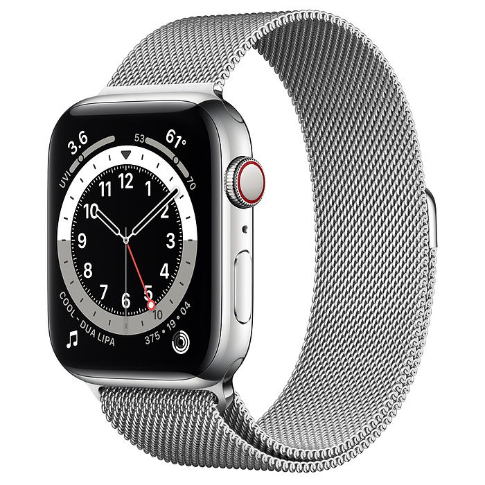 Apple Watch 6 44mm Silver Stainless Steel Case with Milanese Loop