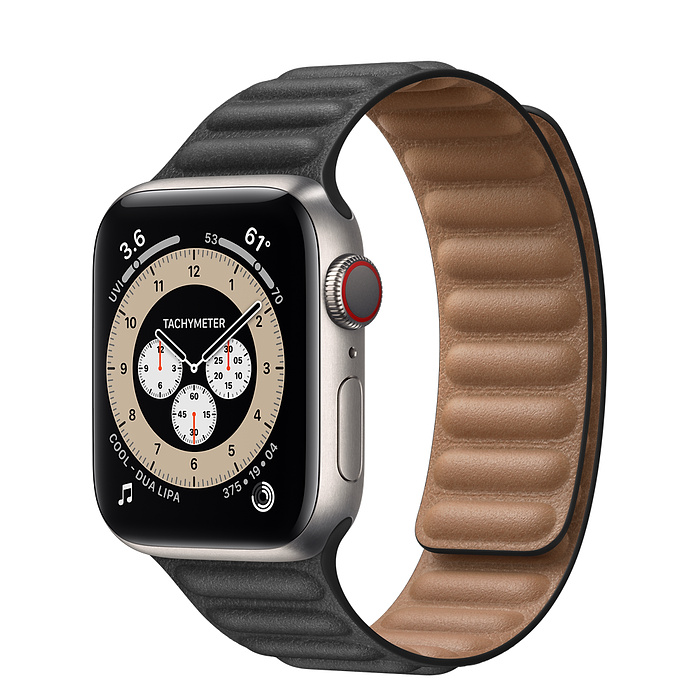 Apple Watch 6 40mm Titanium Case with Leather Link Black