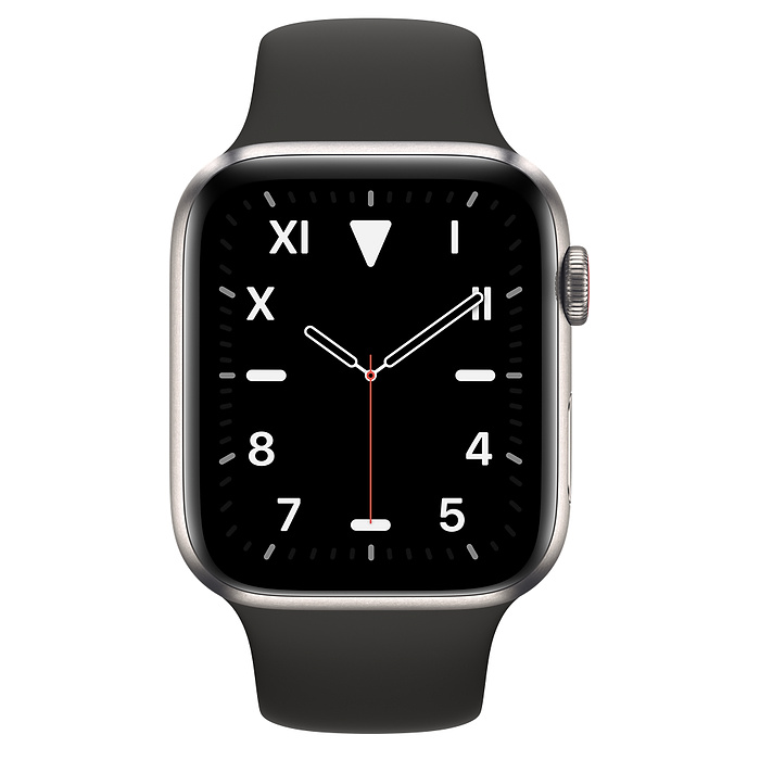 titanium apple watch 5