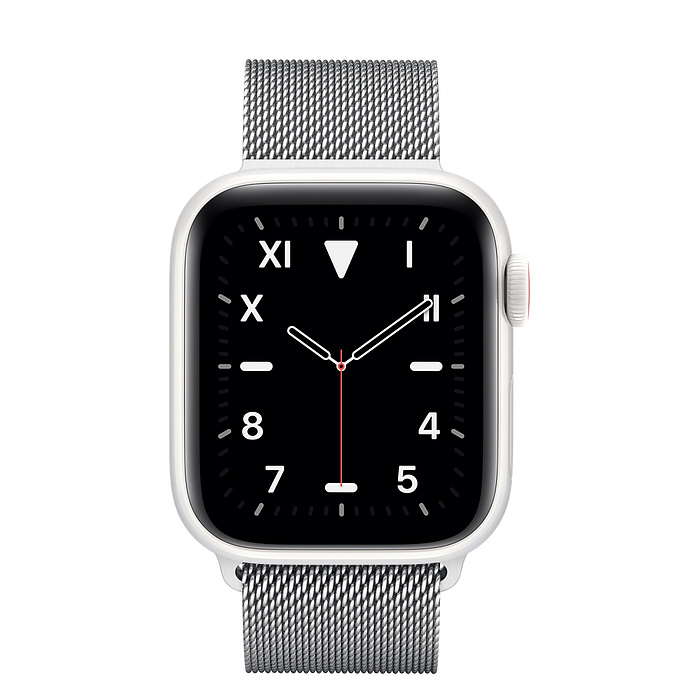 apple watch 5 ceramic