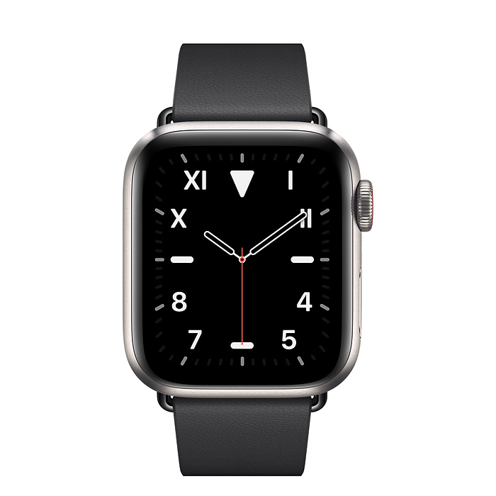 apple watch 5 titanium price