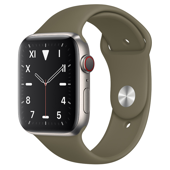 apple watch 5 titanium price