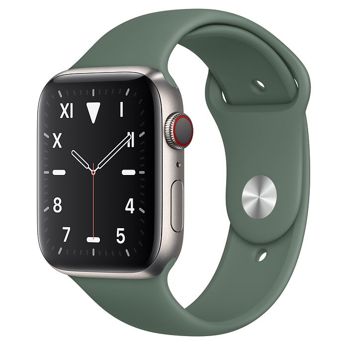 titanium apple watch 5