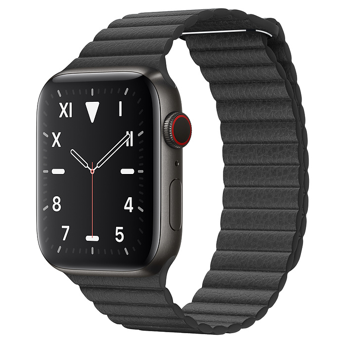 titanium apple watch 5