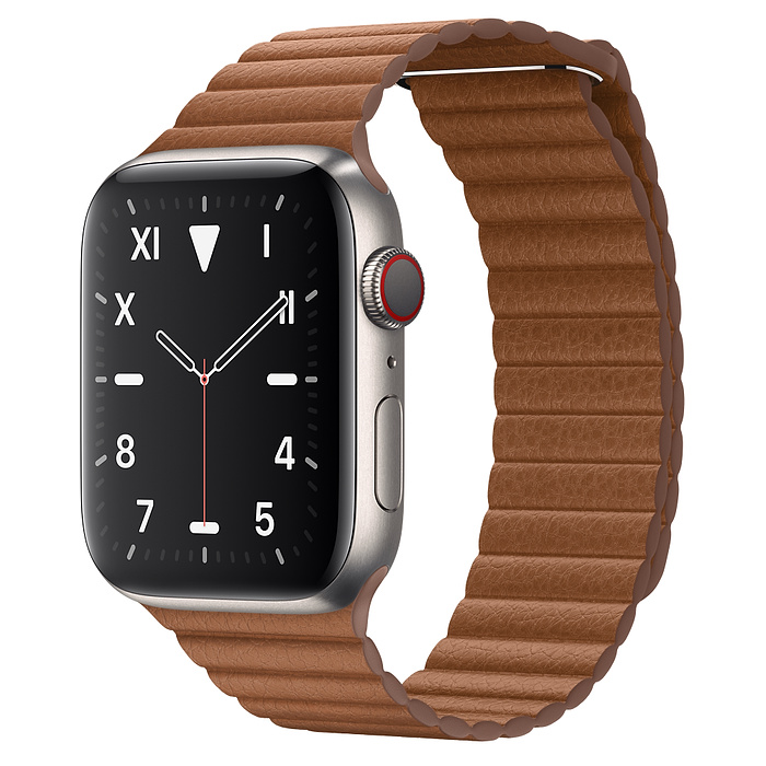 apple watch 5 titanium price