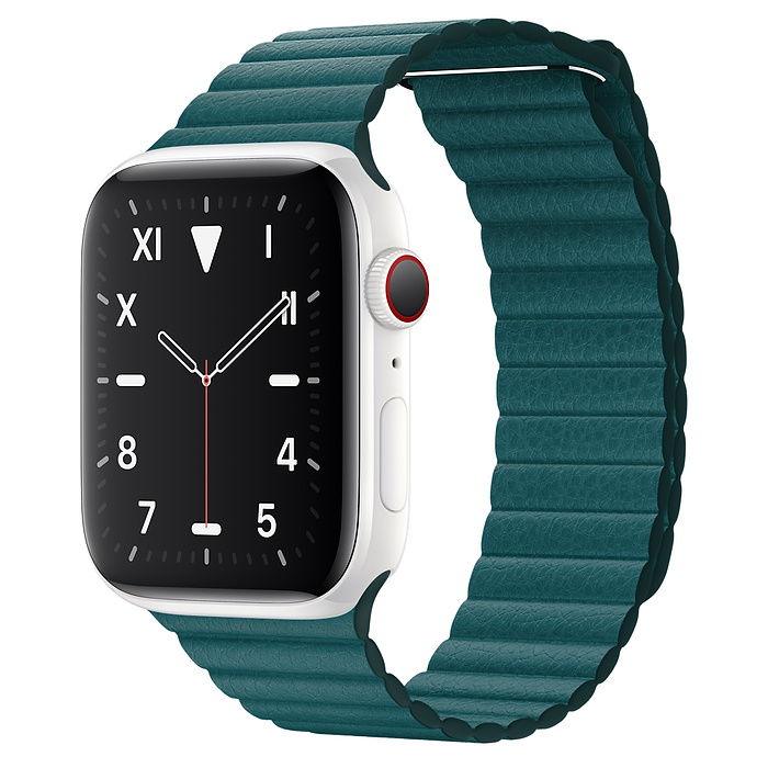 apple watch leather loop