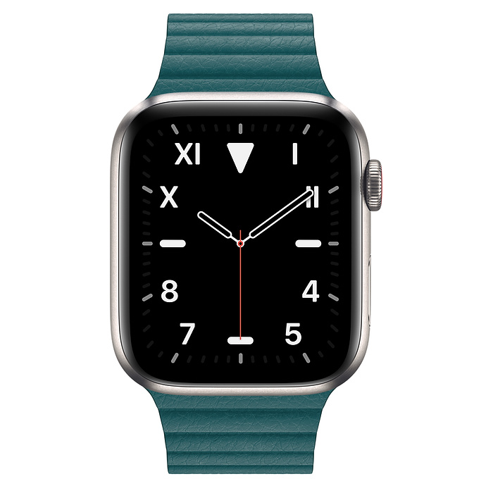apple watch 5 titanium price